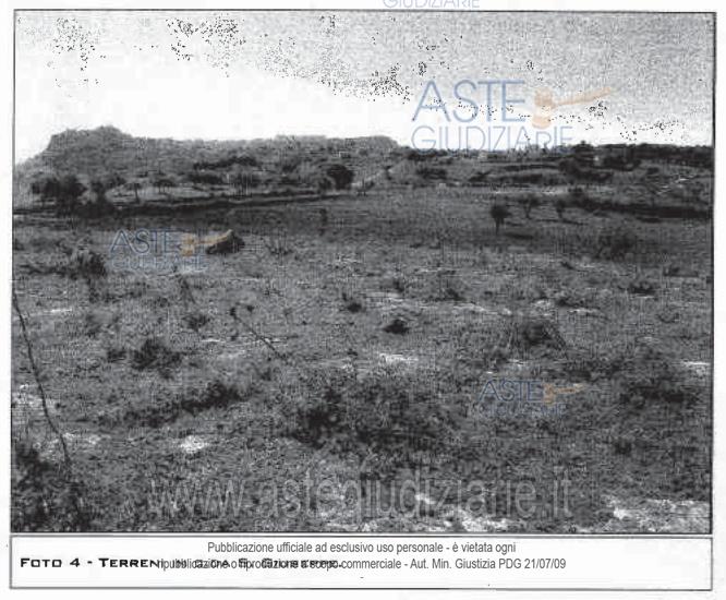 Fotografia del bene