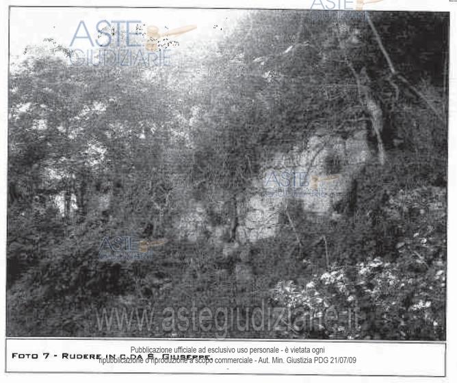 Fotografia del bene