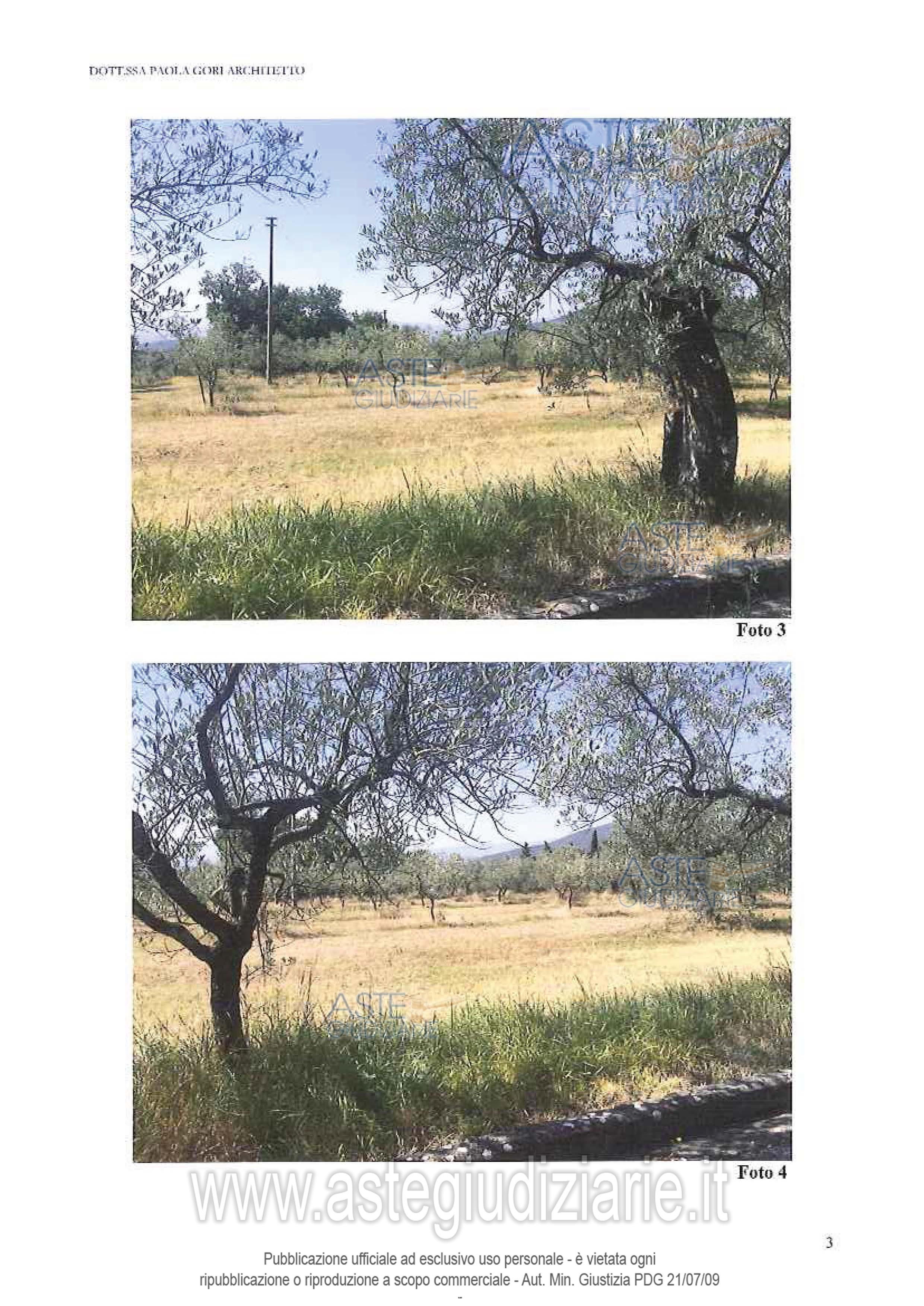 Fotografia del bene