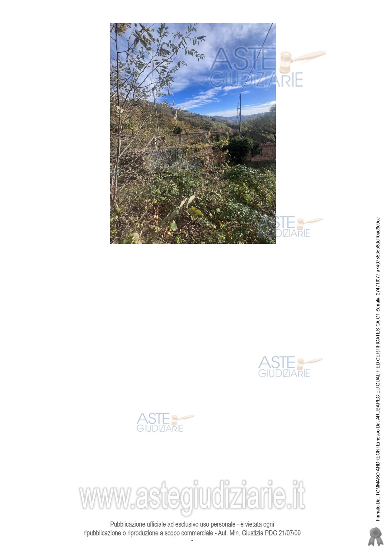 Fotografia del bene
