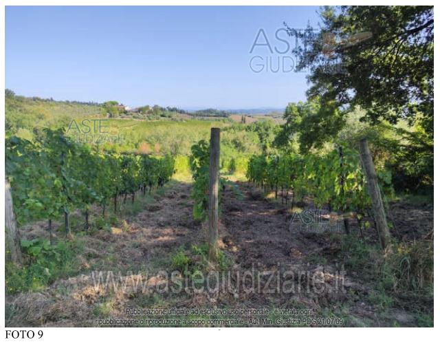 Fotografia del bene