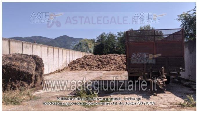 Fotografia del bene