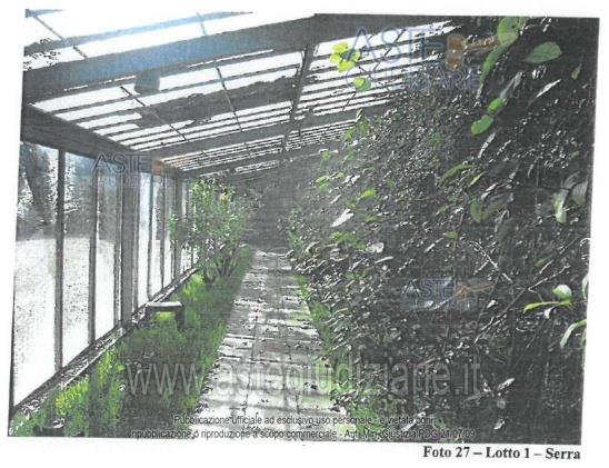 Fotografia del bene