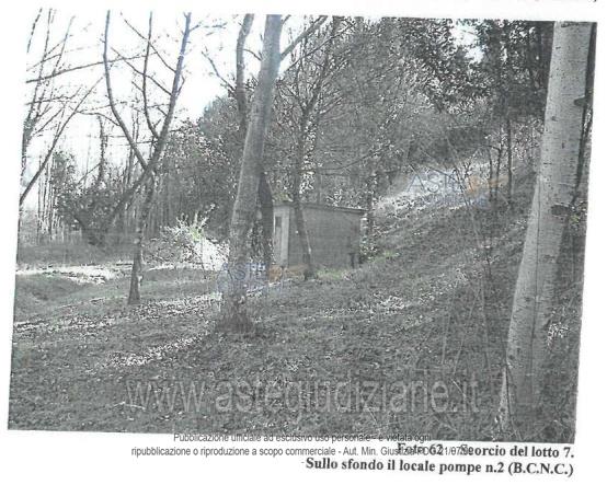 Fotografia del bene