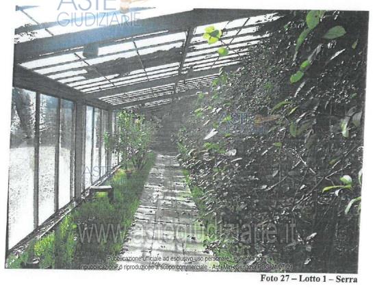 Fotografia del bene