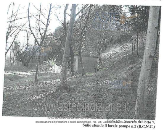 Fotografia del bene