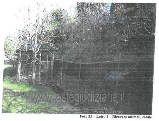Fotografia del bene