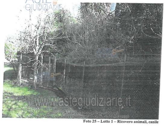 Fotografia del bene