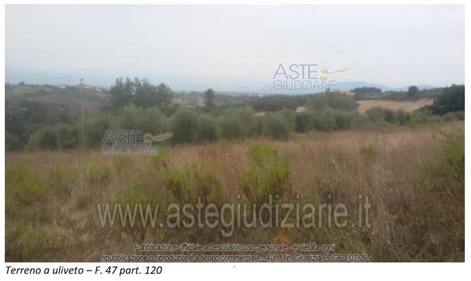 Fotografia del bene