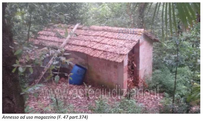 Fotografia del bene