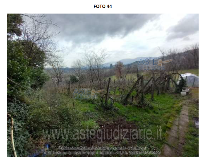 Fotografia del bene