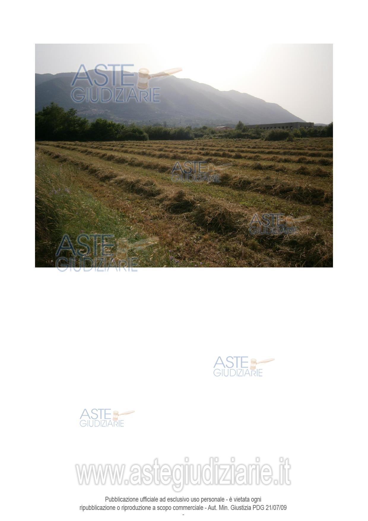Fotografia del bene