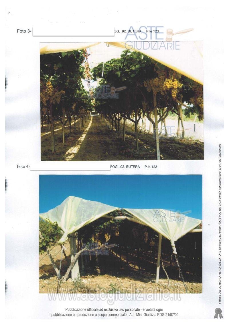 Fotografia del bene