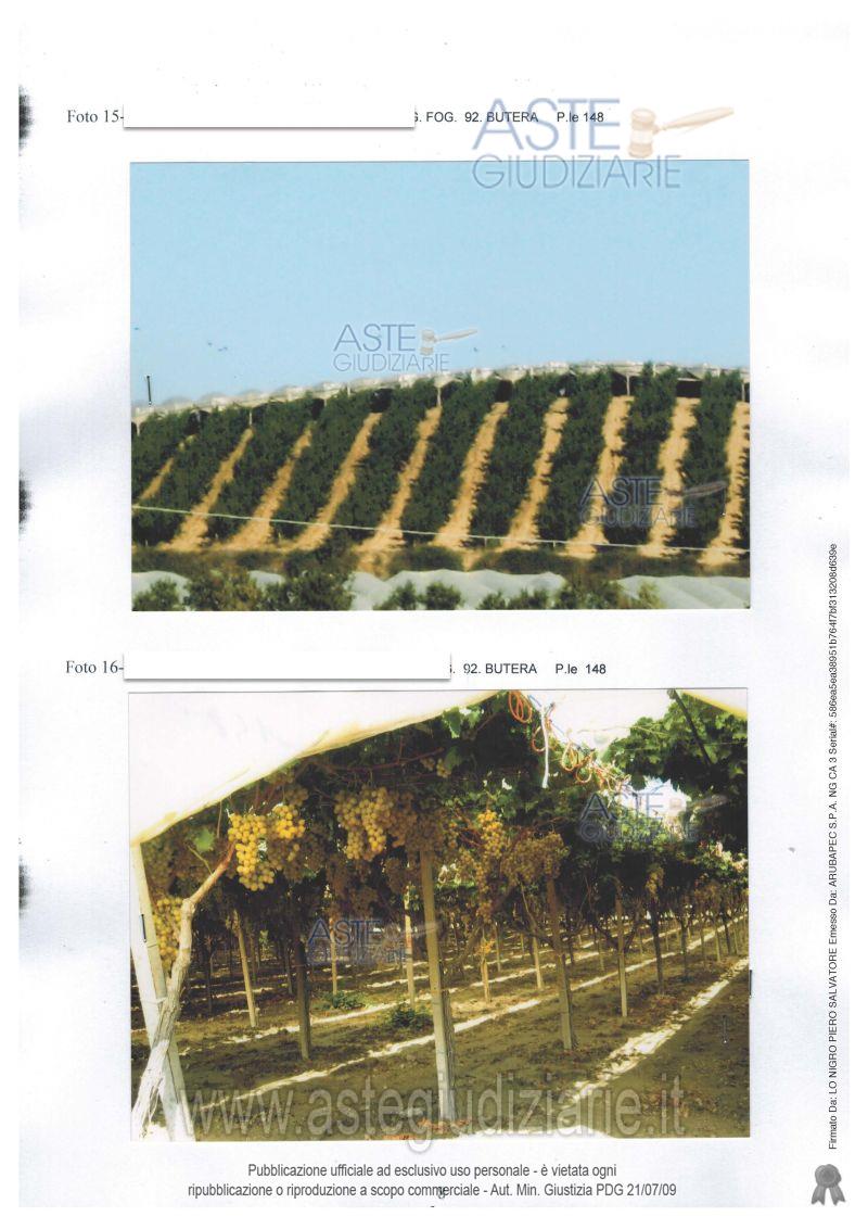 Fotografia del bene