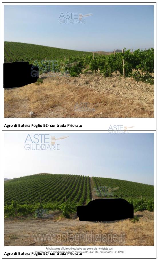 Fotografia del bene