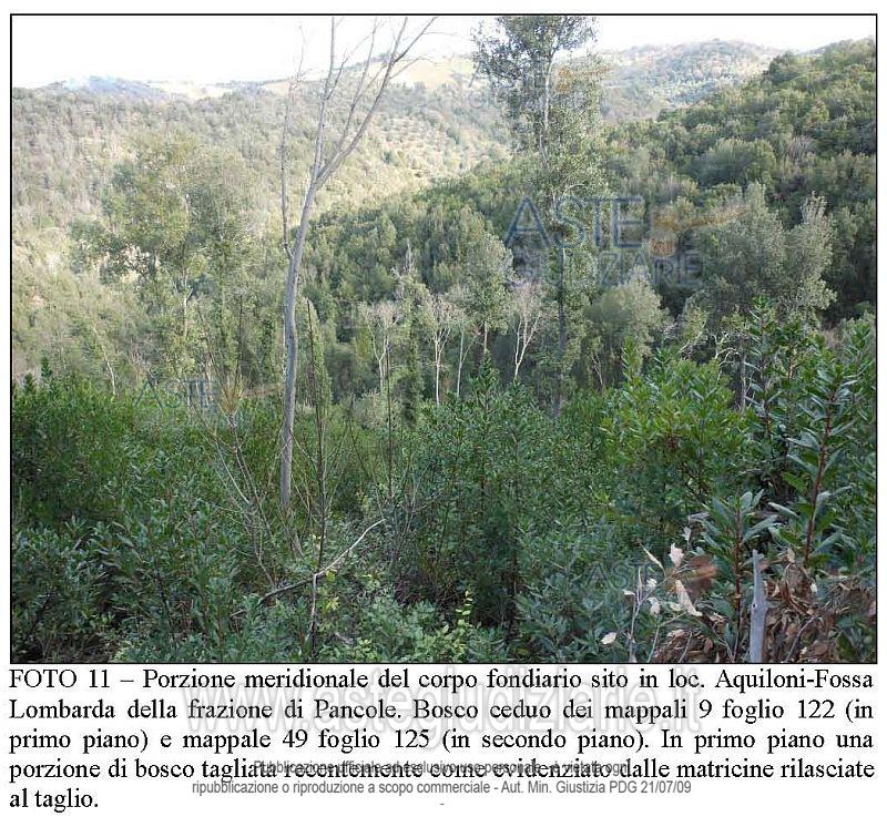 Fotografia del bene