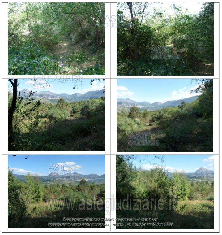Fotografia del bene