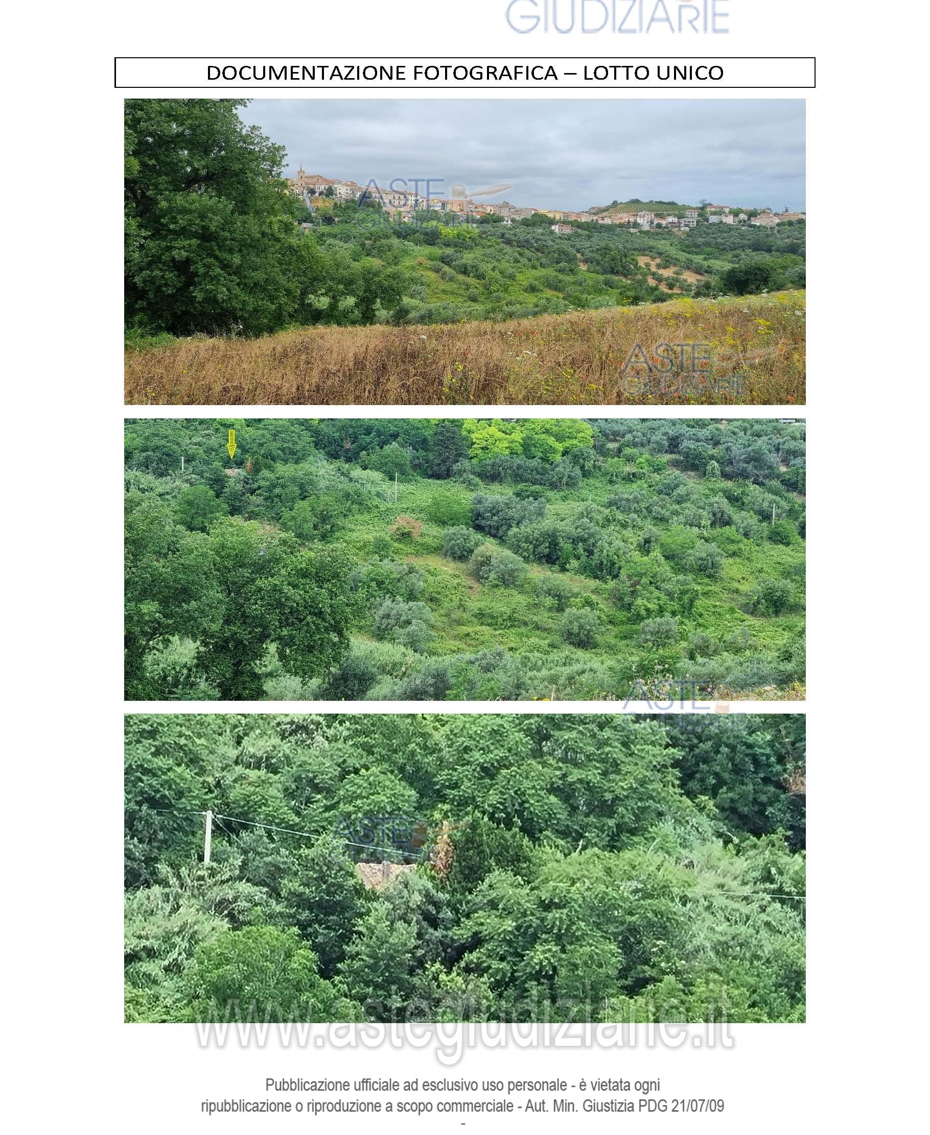 Fotografia del bene