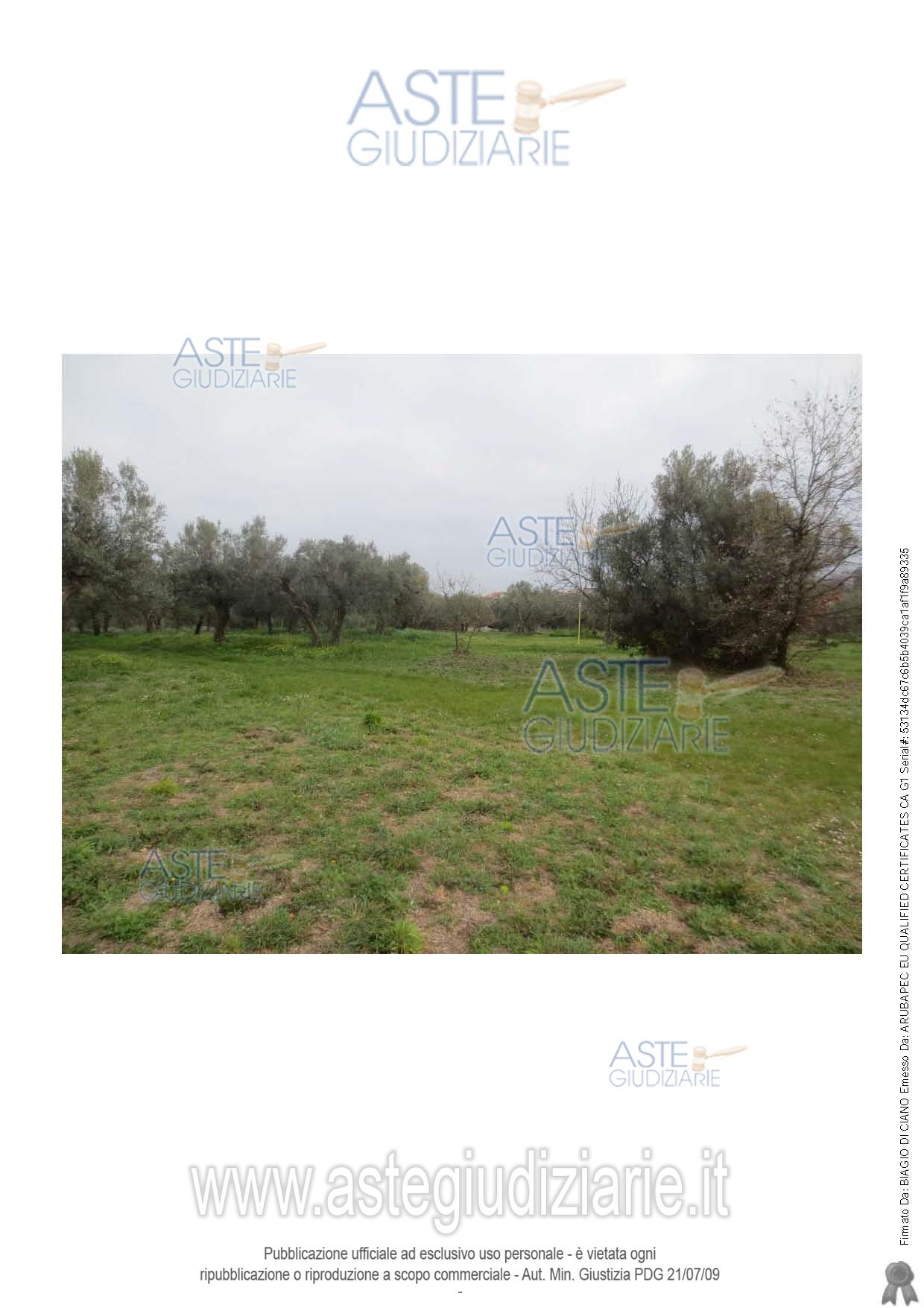 Fotografia del bene