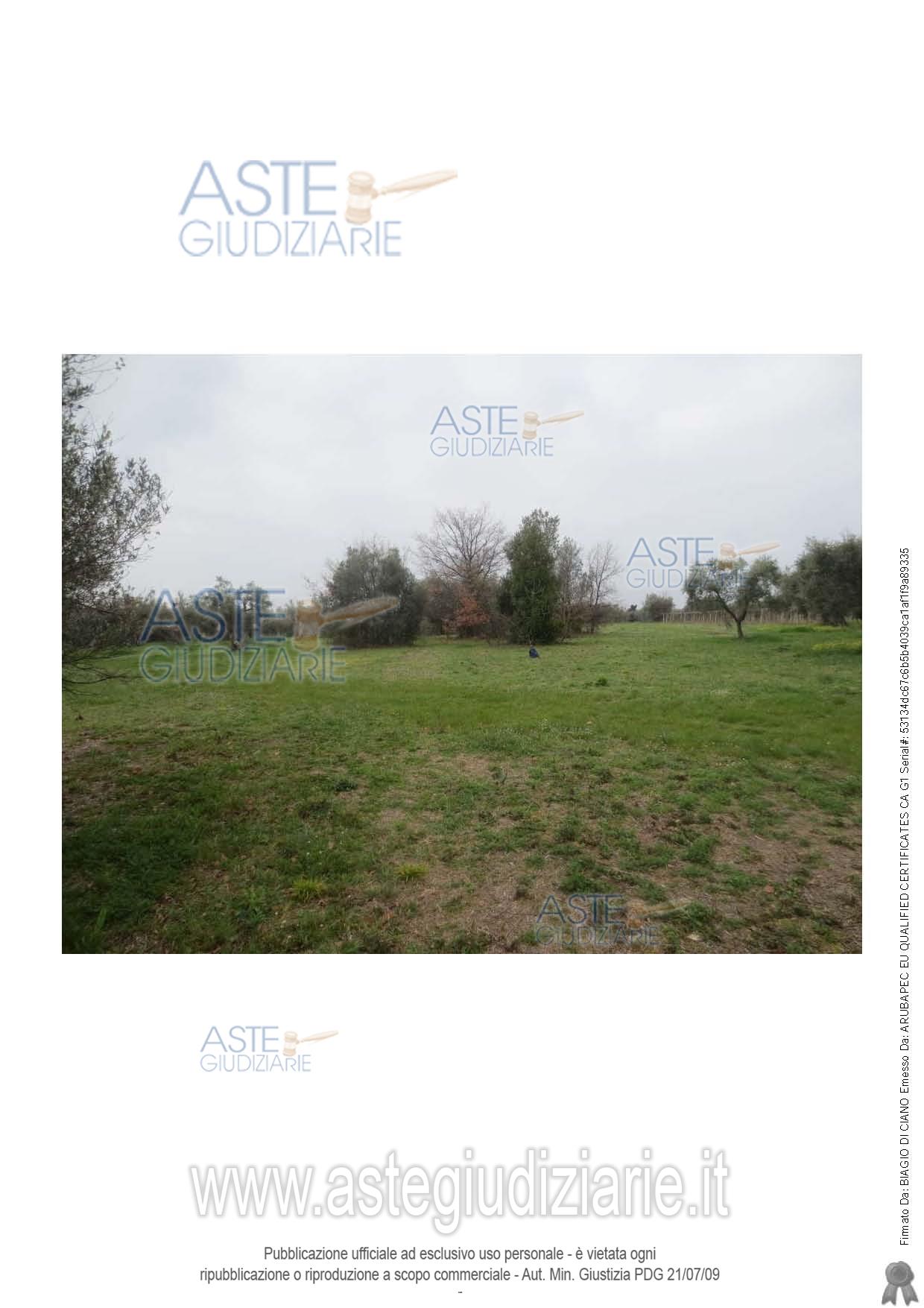 Fotografia del bene