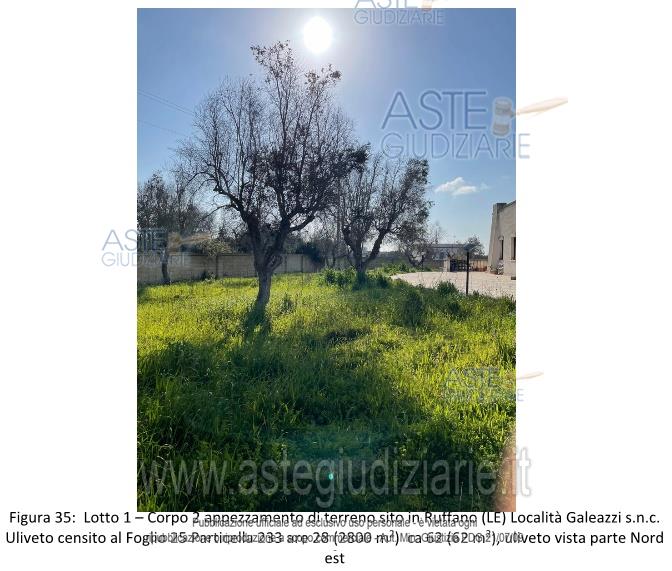 Fotografia del bene