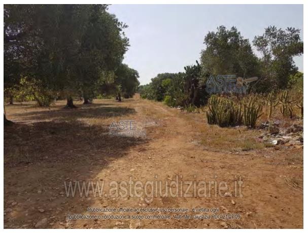 Fotografia del bene