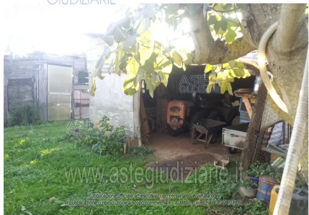 Fotografia del bene