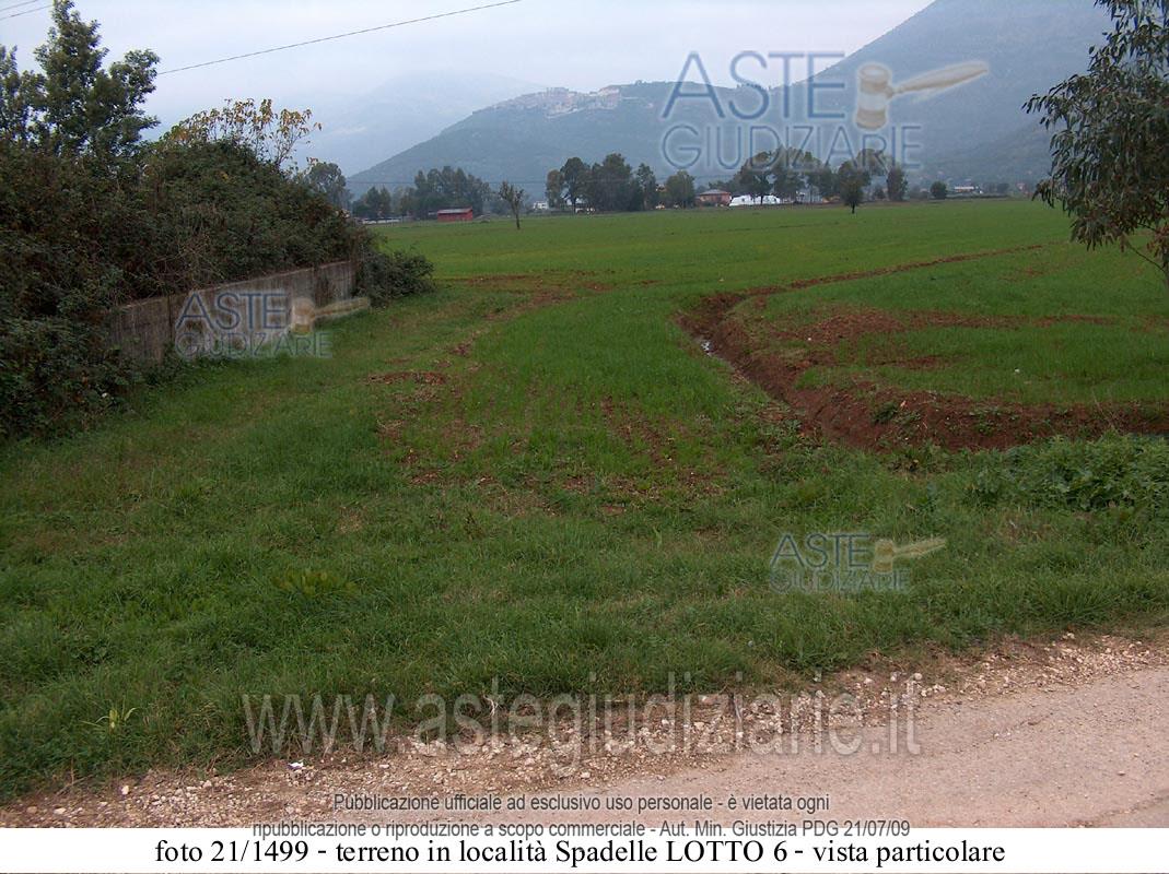 Fotografia del bene