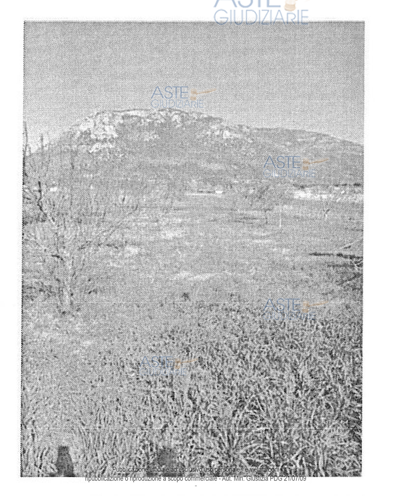Fotografia del bene