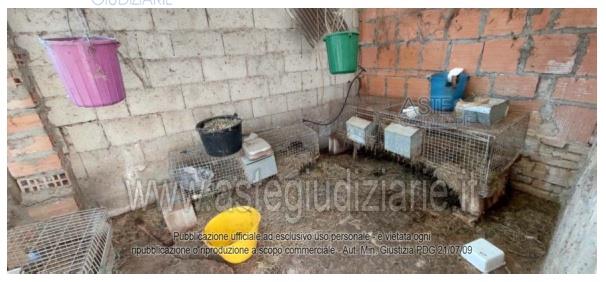 Fotografia del bene