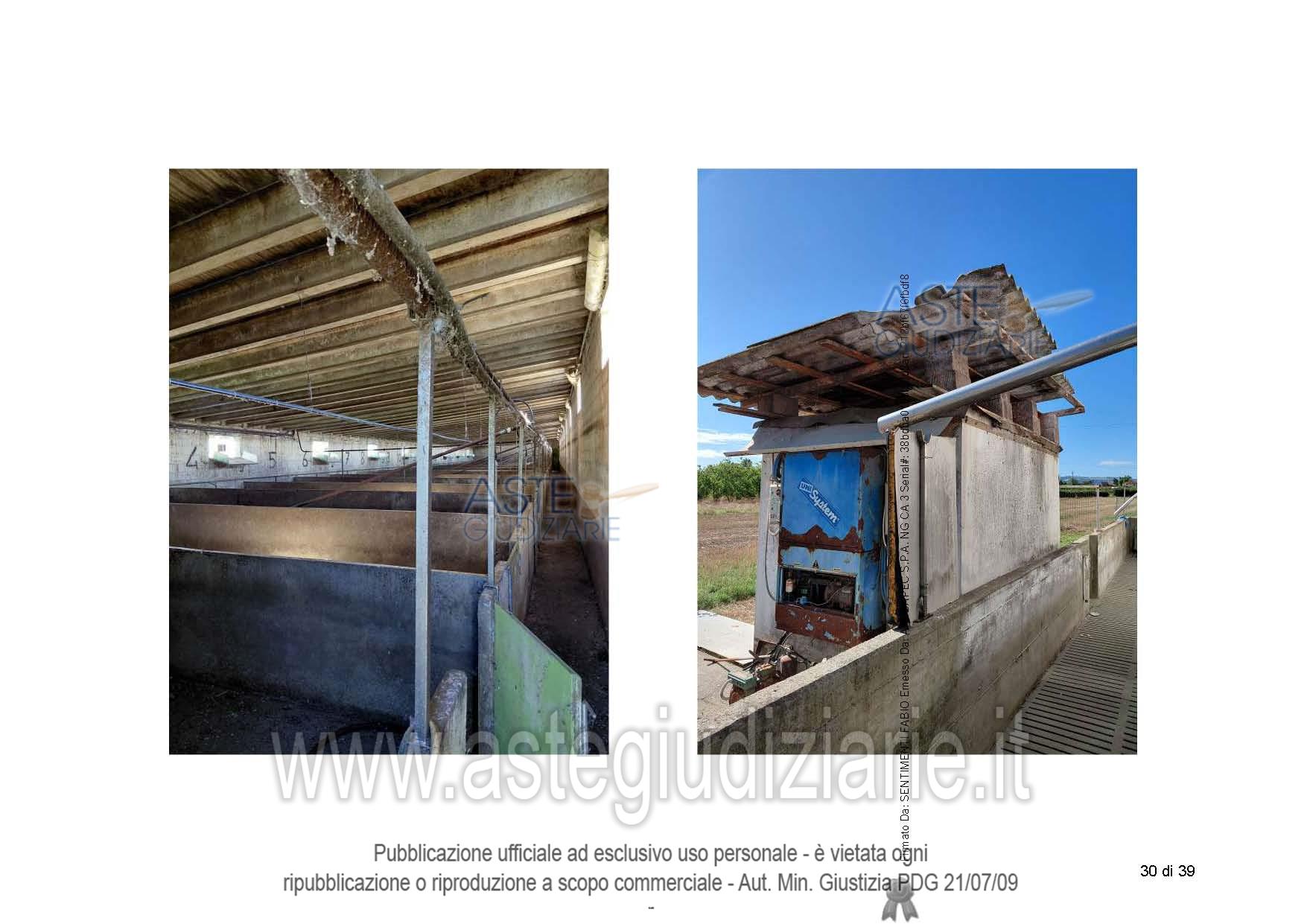 Fotografia del bene