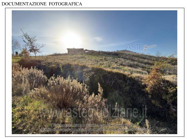 Fotografia del bene