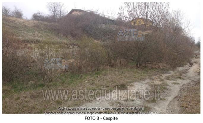 Fotografia del bene