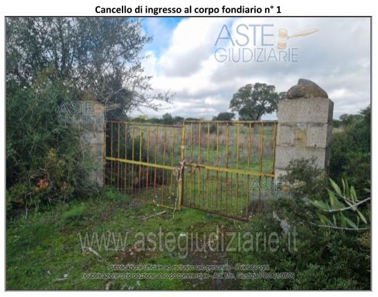 Fotografia del bene