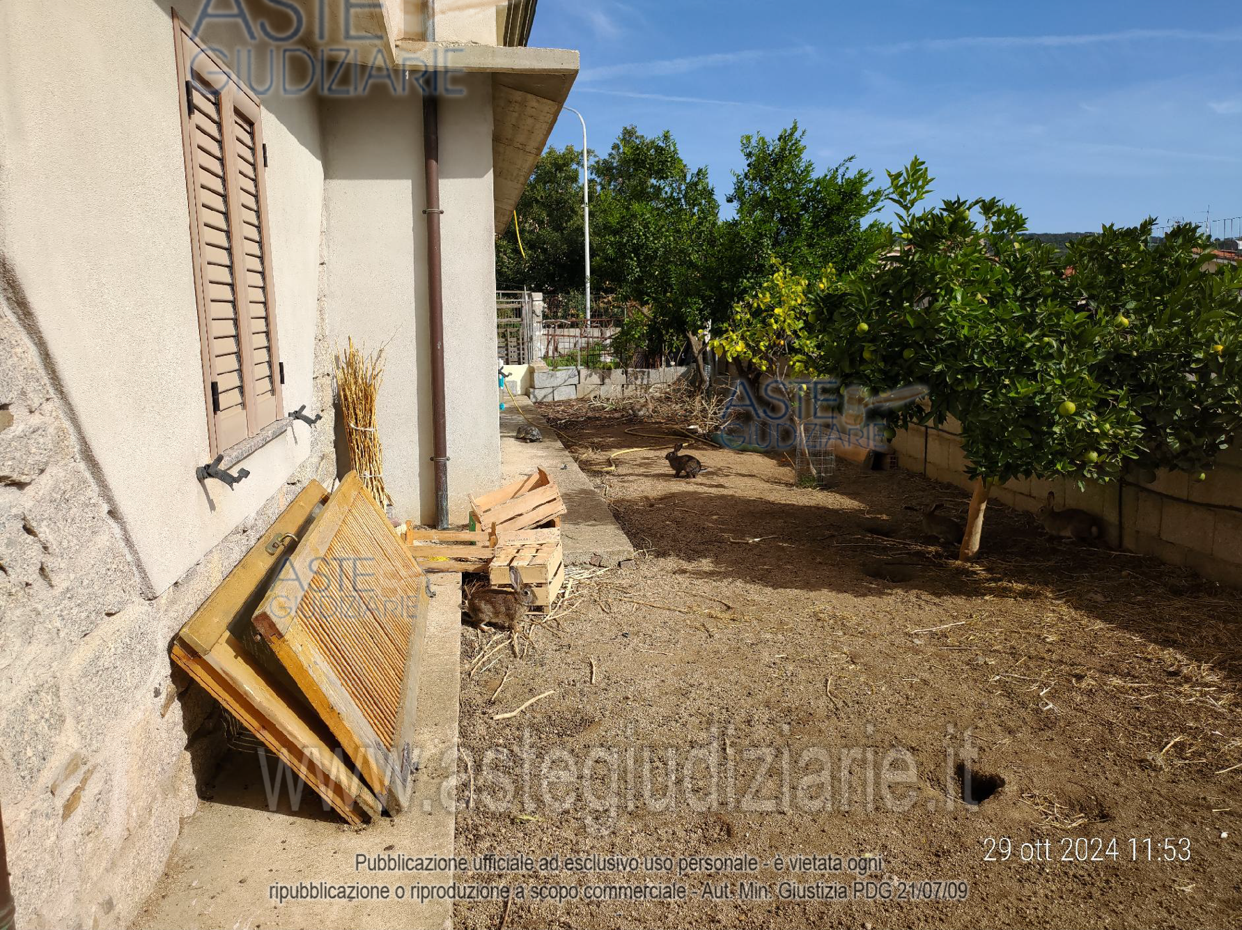 Fotografia del bene
