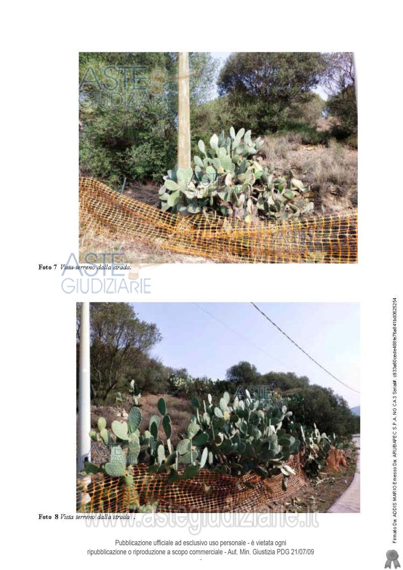 Fotografia del bene