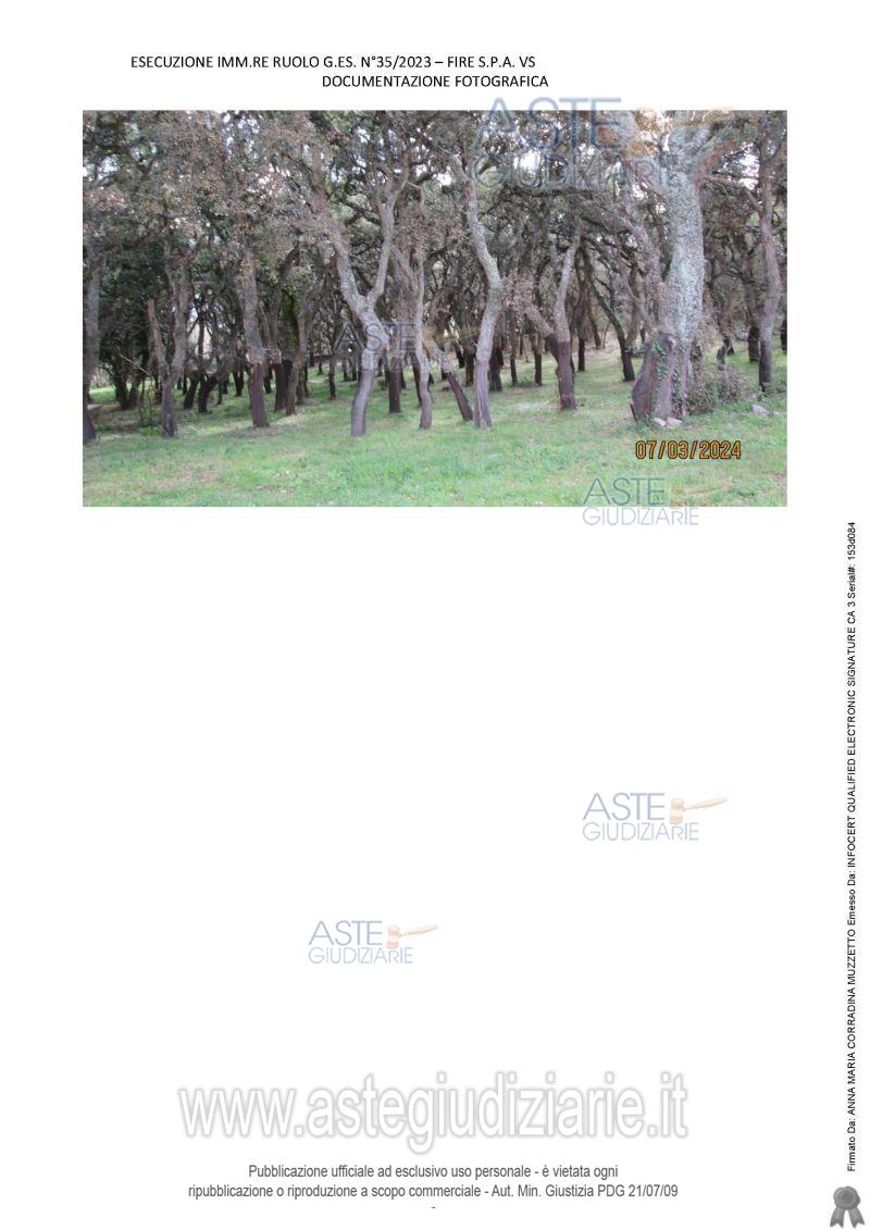 Fotografia del bene