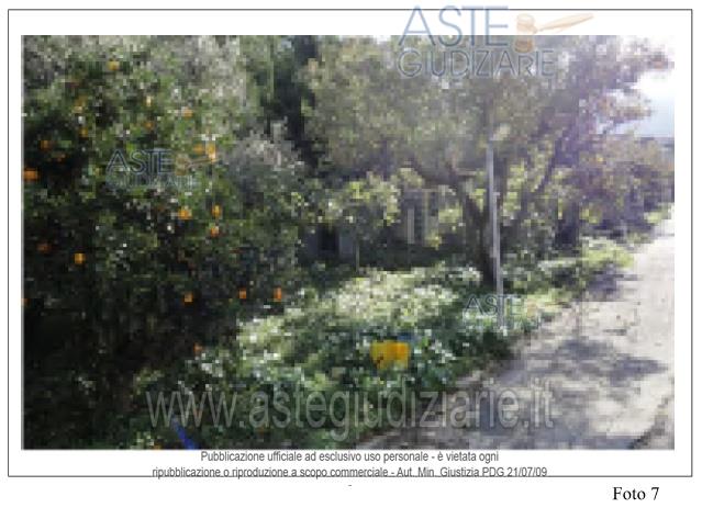 Fotografia del bene