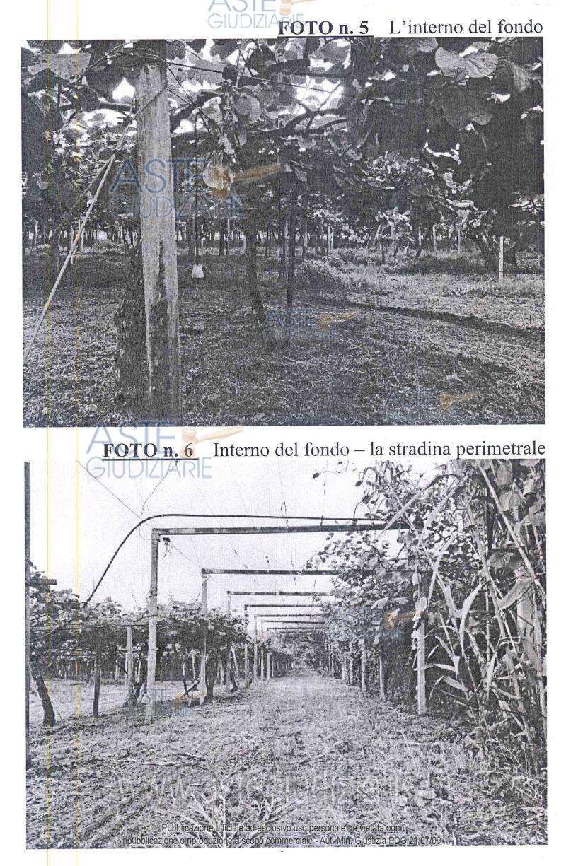 Fotografia del bene