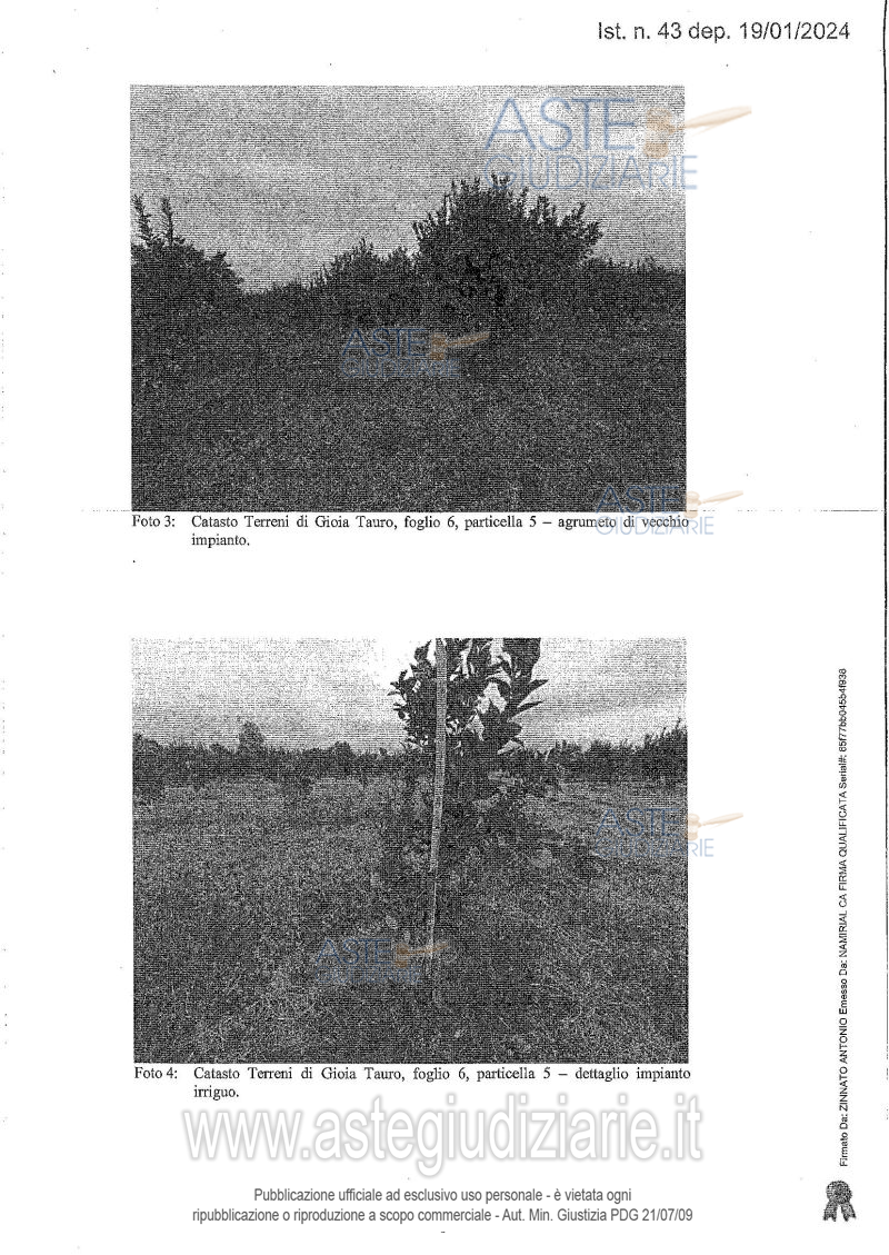 Fotografia del bene