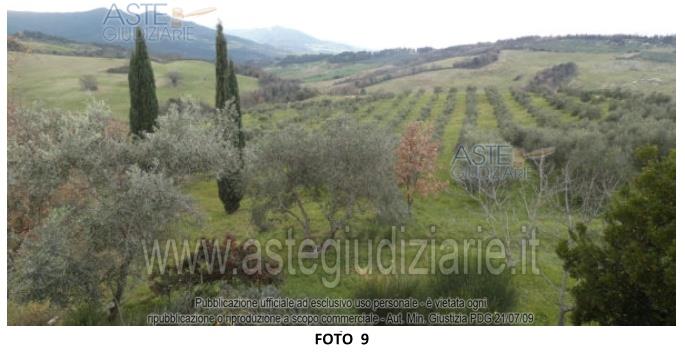 Fotografia del bene