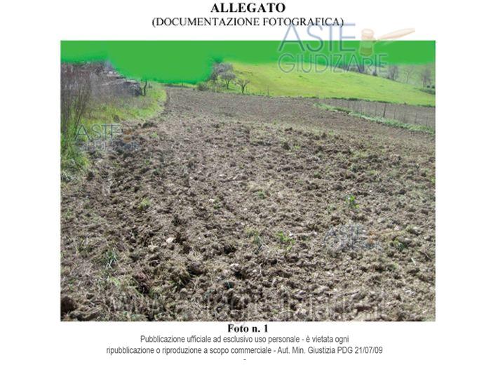 Fotografia del bene