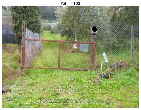 Fotografia del bene