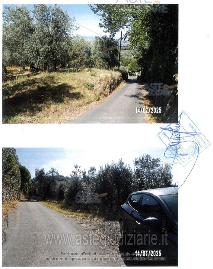 Fotografia del bene