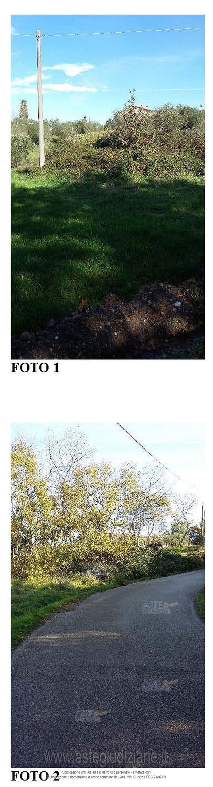 Fotografia del bene