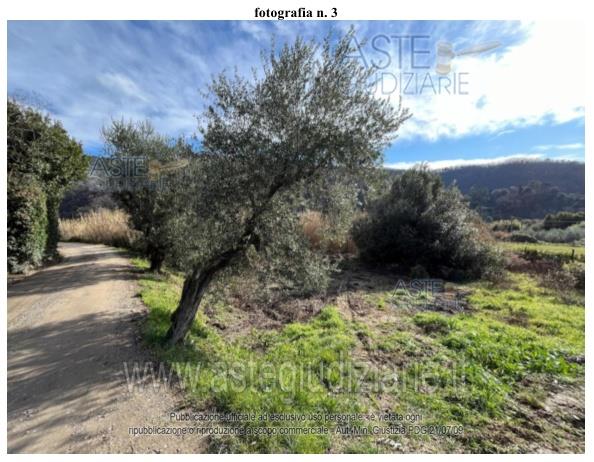 Fotografia del bene
