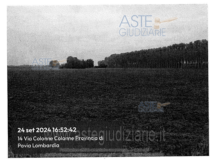 Fotografia del bene