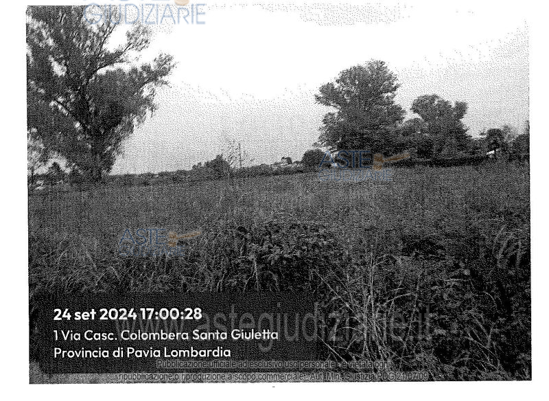 Fotografia del bene