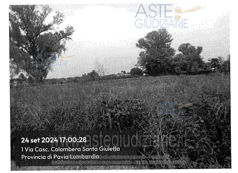 Fotografia del bene
