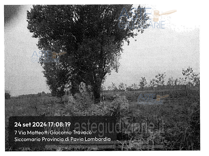 Fotografia del bene